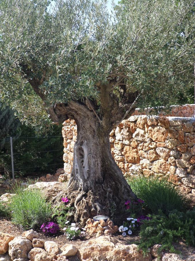 Le Clos Des Cambres Les Arcs-sur-Argens Luaran gambar